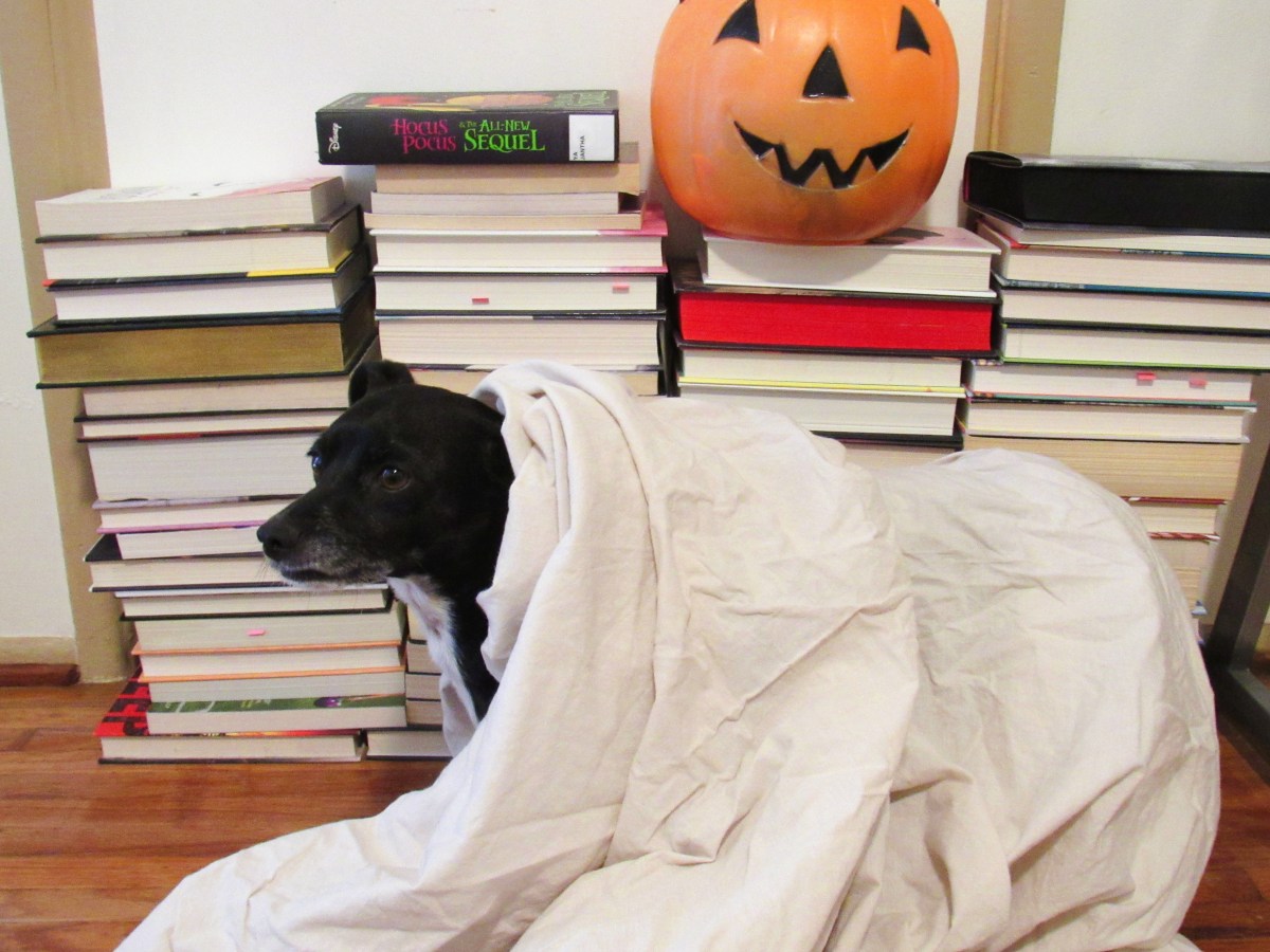 Books, movies, and Podcasts to enjoy this spooky&nbsp;season